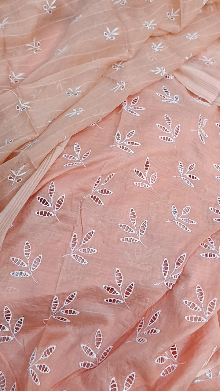 3pc Fiza chicken kari peach lawn