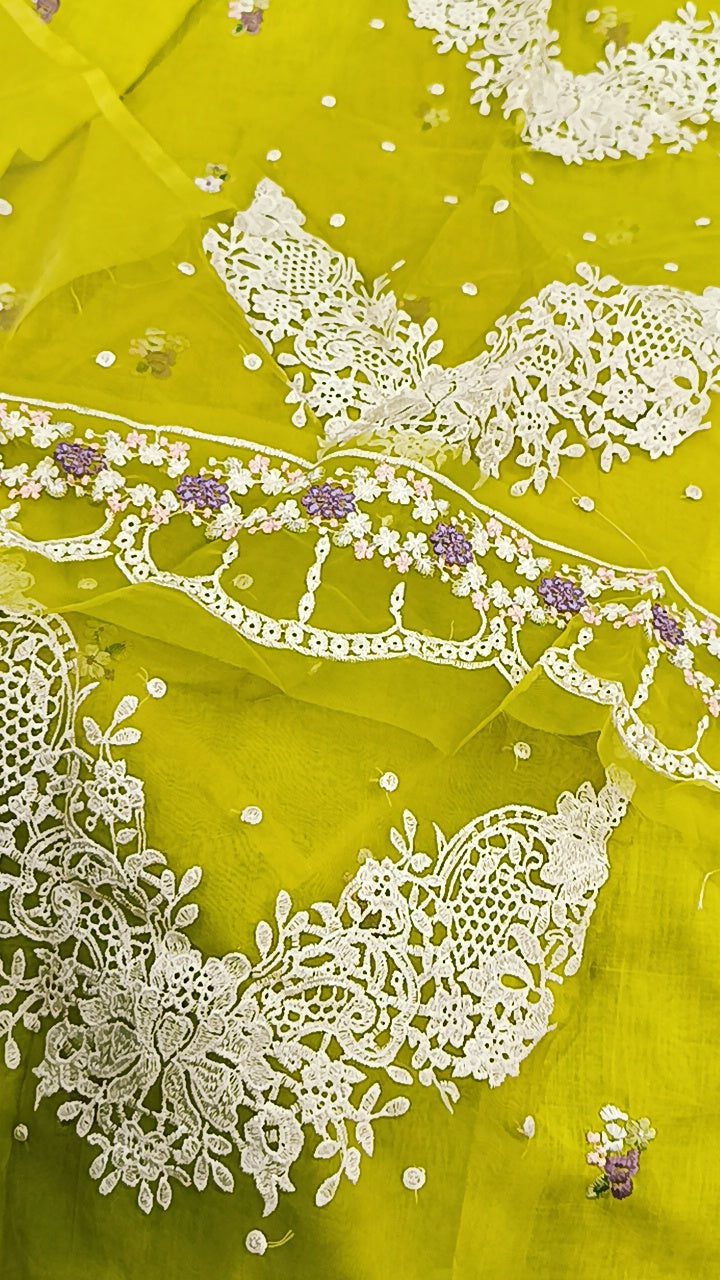 2pc Gulnaar Dhani lawn