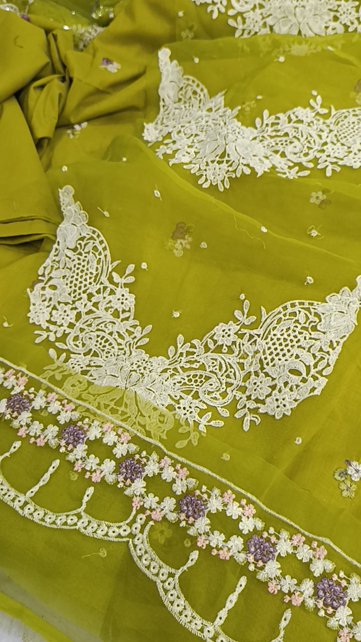 2pc Gulnaar Dhani lawn