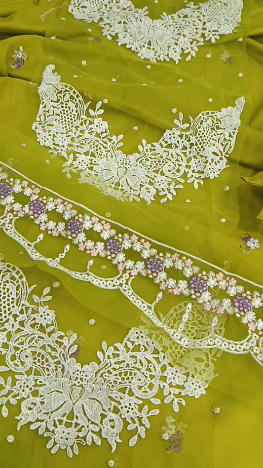 2pc Gulnaar Dhani lawn
