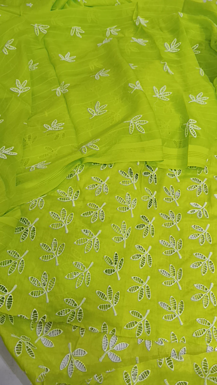 3pc Fiza chicken kari neon lawn