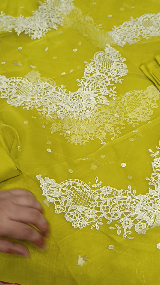 2pc Gulnaar Dhani cotton