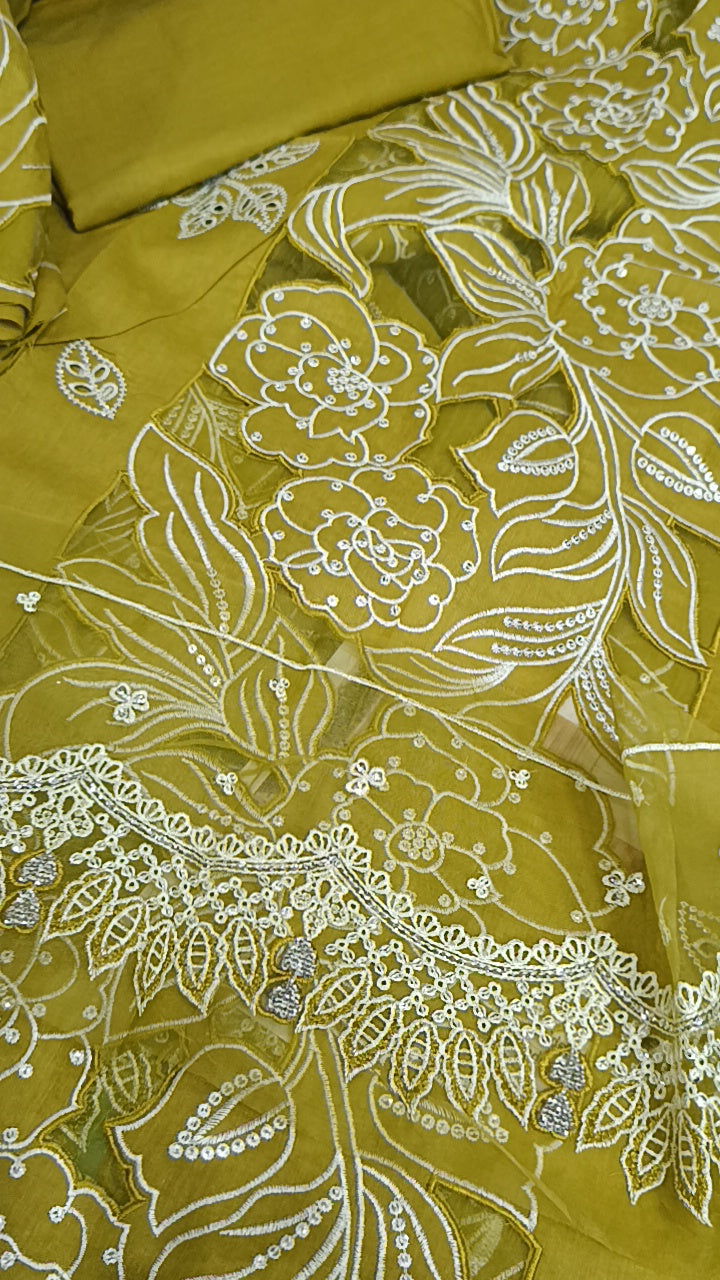 2pc iconic Dhani lawn